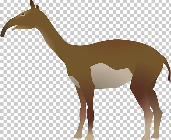 Giraffe Macrauchenia Animal Mammal PNG, Clipart, Animal, Animal Figure, Animals, Art, Deinotherium Free PNG Download