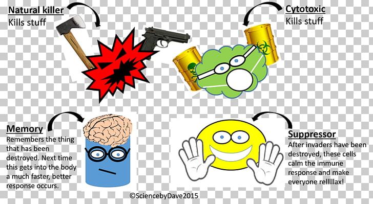 Regulatory T Cell Cytotoxic T Cell Cancer Cell Natural Killer Cell PNG,  Clipart, Brand, Cancer, Cancer