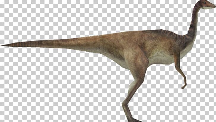 Velociraptor Jurassic Park: Operation Genesis Gallimimus Edmontosaurus Brachiosaurus PNG, Clipart, Anatosaurus, Brachiosaurus, Dinosaur, Edmontosaurus, Fauna Free PNG Download