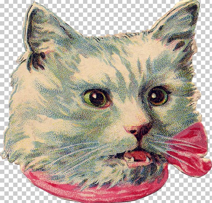Destroy Me Cat Wymarzony Czas Bokmärke PNG, Clipart, American Shorthair, American Wirehair, Animals, Art, Asian Free PNG Download