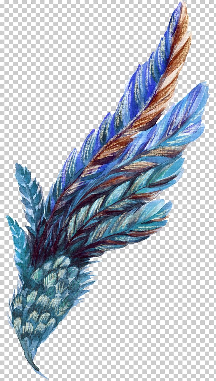 Feather Leaf Orange Plant PNG, Clipart, Animals, Autumn Leaves, Blue, Blue, Blue Background Free PNG Download