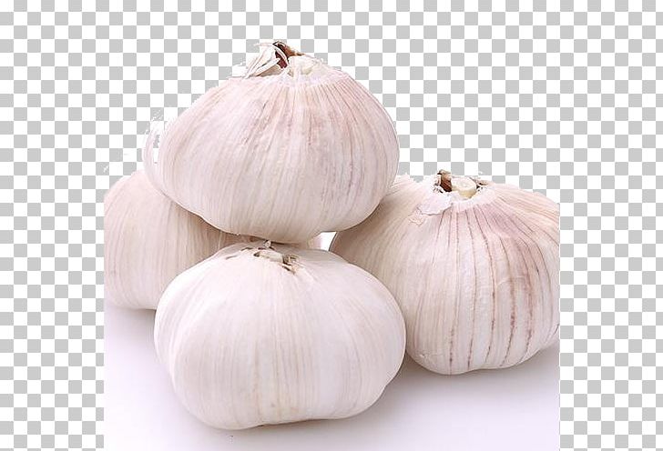 Garlic Shallot Vegetable Allium Fistulosum PNG, Clipart, Allium Fistulosum, Designer, Download, Euclidean Vector, Food Free PNG Download