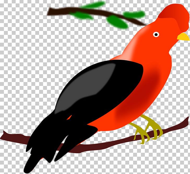 Peru Bird Chicken Illustration PNG, Clipart, Andean Cockoftherock, Artwork, Beak, Bird, Chicken Free PNG Download