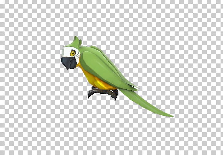 Team Fortress 2 Counter-Strike: Global Offensive Dota 2 Video Game PNG, Clipart, Achievement, Beak, Bird, Birdman, Common Pet Parakeet Free PNG Download