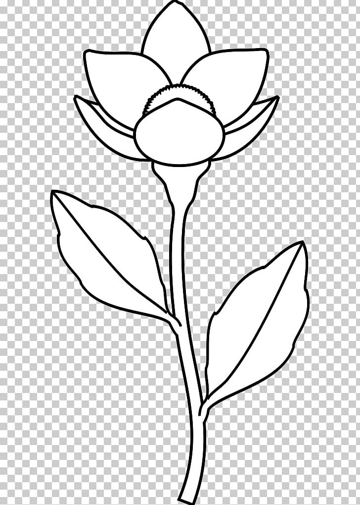 Floral Design Cut Flowers Plant Stem Leaf /m/02csf PNG, Clipart, Artwork, Black And White, Branch, Cut Flowers, Drawing Free PNG Download
