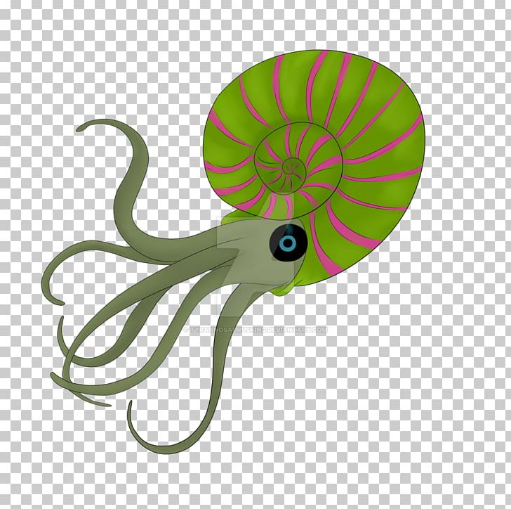Octopus 18 December Ammonites Brother PNG, Clipart, 18 December, 2016, Ammonite, Ammonites, Brother Free PNG Download