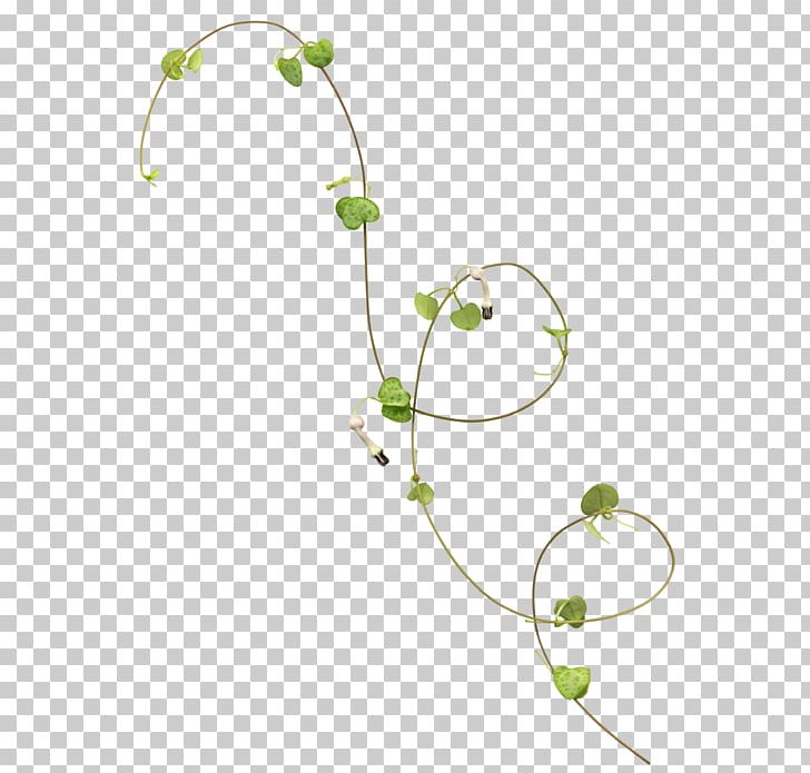 Portable Network Graphics Vine Flower Graphics PNG, Clipart, Body Jewelry, Branch, Flora, Floral Design, Flower Free PNG Download