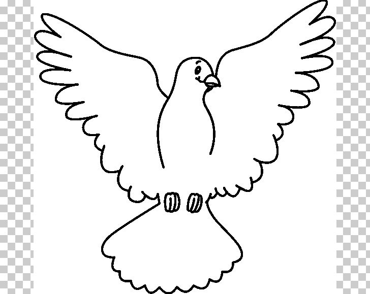 Columbidae White PNG, Clipart, Art, Artwork, Baptism, Beak, Bird Free PNG Download