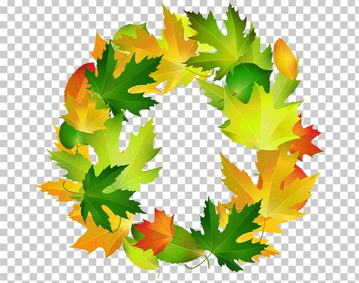 Maple Leaf Borders And Frames Frames Autumn PNG, Clipart, Autumn, Autumn Leaf Color, Borders And Frames, Color, Computer Icons Free PNG Download