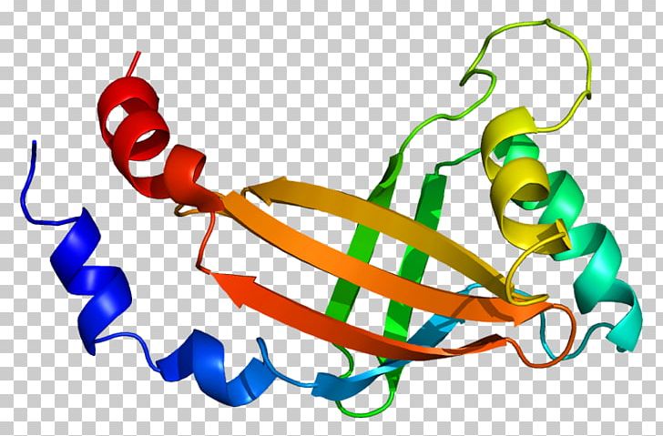 RUNX1 CBFB RUNX2 Core Binding Factor Protein PNG, Clipart, Artwork, Core Binding Factor, E 50, Factor, Fusion Protein Free PNG Download