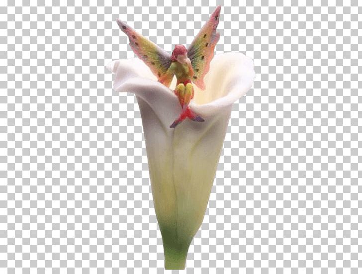 Arum-lily Easter Lily Orange Lily Plant Stem Tiger Lily PNG, Clipart, Art, Arumlily, Bog Arum, Calla Lilly, Calla Lily Free PNG Download