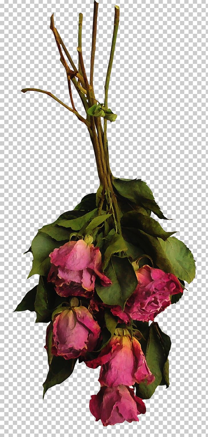 Floral Design Cut Flowers Rose Flower Bouquet PNG, Clipart, Child, Cut Flowers, Dried, Floral Design, Floristry Free PNG Download