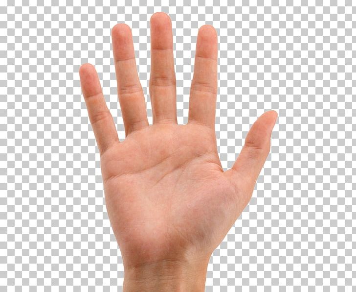 Hand Finger Palm Forearm Human Body PNG, Clipart, Arm, Finger, Fingerprint, Fist, Foot Free PNG Download