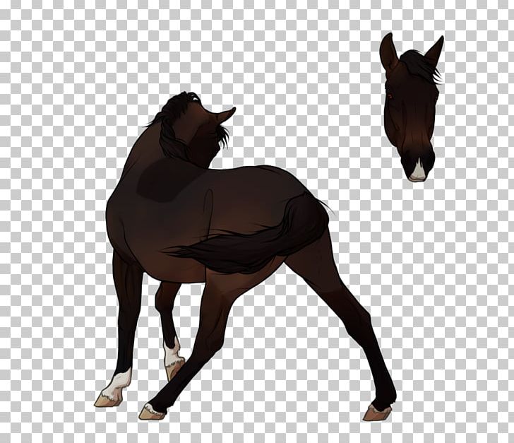 Mustang Foal Stallion Colt Mare PNG, Clipart, Colt, Colts Manufacturing Company, Foal, Halter, Horse Free PNG Download