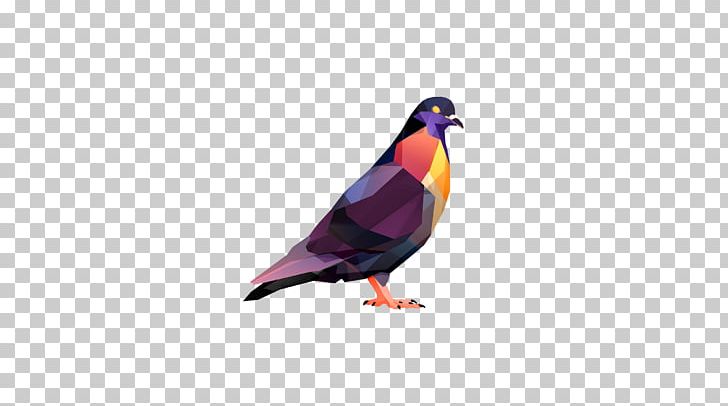 Digital Art Bird PNG, Clipart, 1080p, Animal, Animals, Art, Art Director Free PNG Download