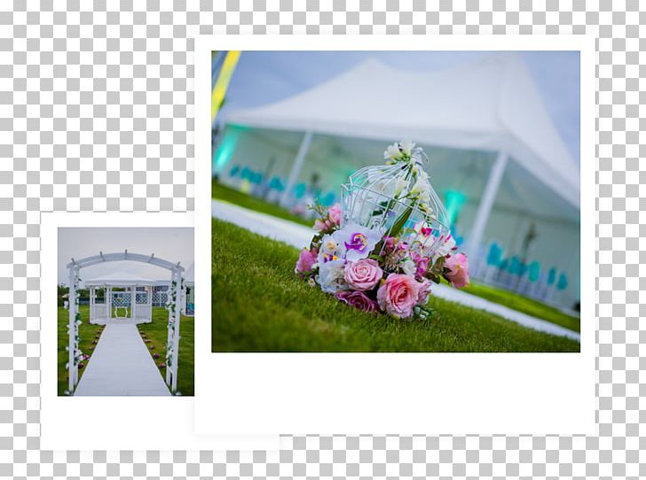 Градински комплекс Garden Weddings Floral Design Plovdiv Party PNG, Clipart, Floral Design, Floristry, Flower, Flower Arranging, Grass Free PNG Download