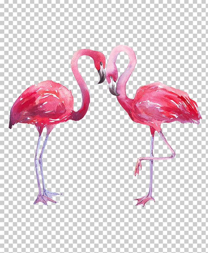 Photography Watercolor Painting PNG, Clipart, Banco De Imagens, Beak, Bird, Flamingo, Flamingos Free PNG Download
