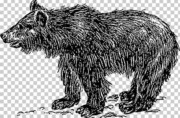 American Black Bear Polar Bear Grizzly Bear PNG, Clipart, American Black Bear, Animals, Bear, Beaver, Black And White Free PNG Download