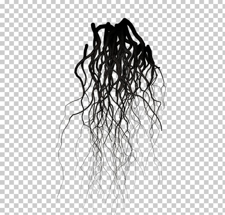Black And White Root Branch Drawing Tree PNG, Clipart, Black, Black And White, Branch, Drawing, Fibrous Root System Free PNG Download
