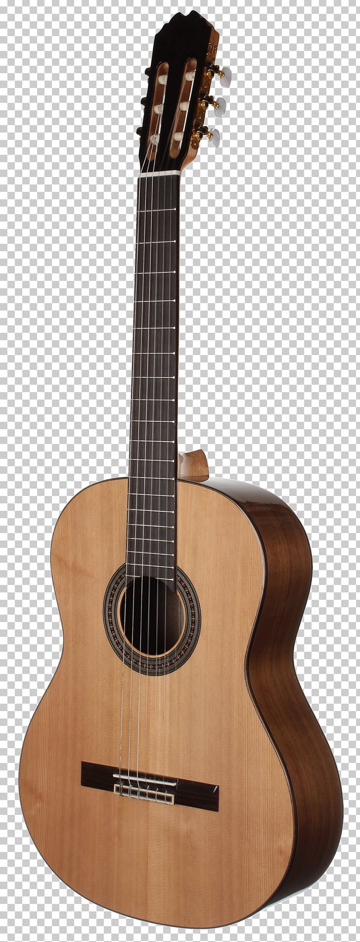 Classical Guitar Acoustic Guitar Musical Instruments String Instruments PNG, Clipart, Classical Guitar, Cuatro, Distortion, Guitar Accessory, Musical Instrument Free PNG Download