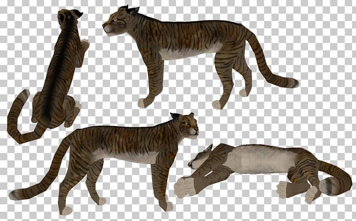 Lion Siberian Cat Oriental Shorthair Feral Cat Kitten PNG, Clipart, Animal, Animal Figure, Animals, Big Cats, Calico Cat Free PNG Download
