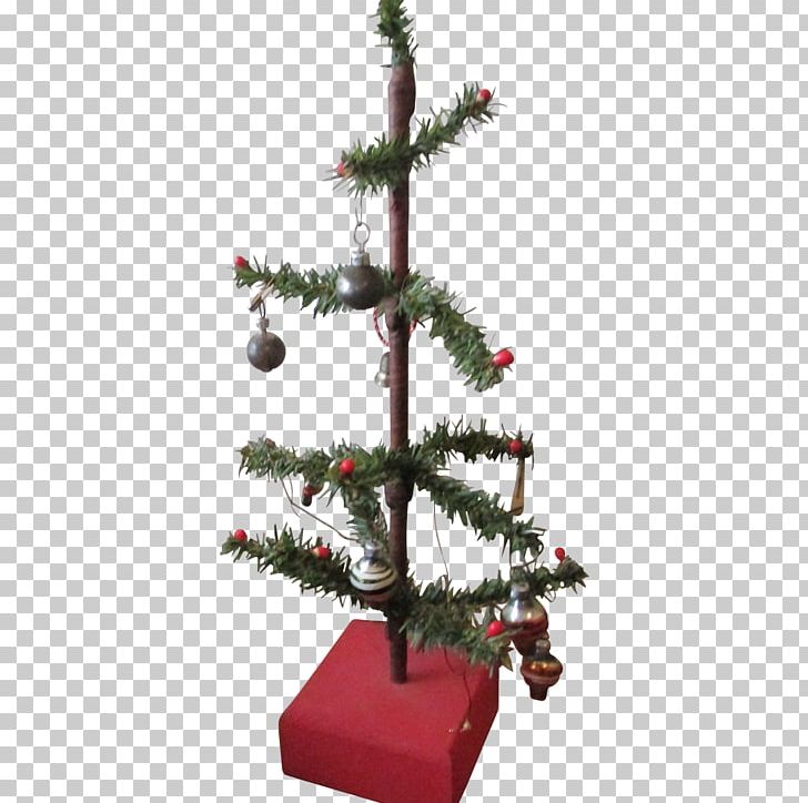Pine Spruce Fir Christmas Decoration Christmas Tree PNG, Clipart, Bonsai, Christmas, Christmas Decoration, Christmas Ornament, Christmas Tree Free PNG Download