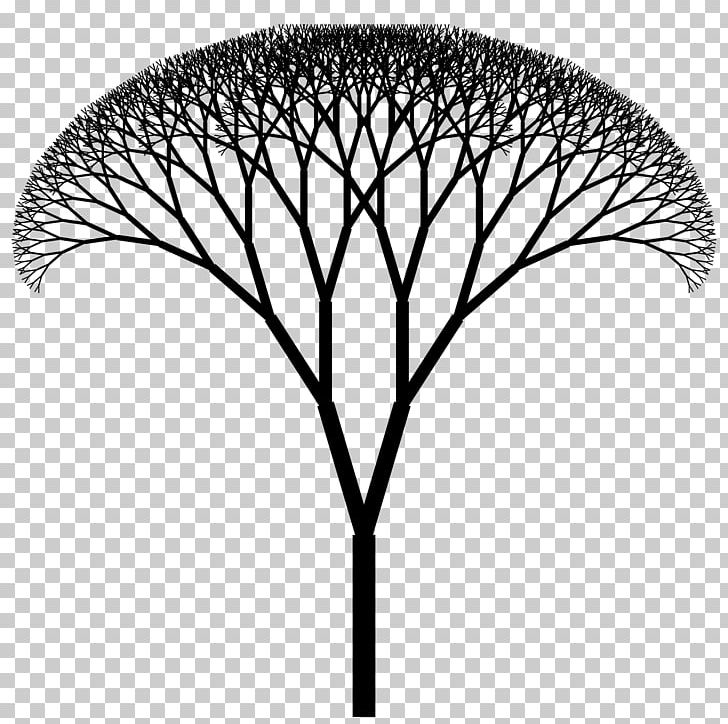 The Fractal Geometry Of Nature Fractal Canopy Fractal Art Fractal Tree Index PNG, Clipart, Black And White, Branch, Curve, Fractal, Fractal Art Free PNG Download