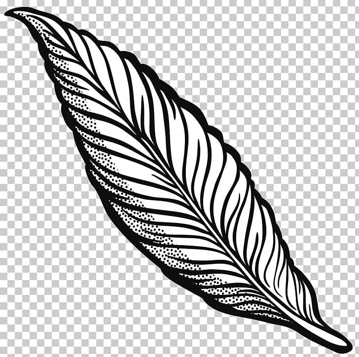 Ausmalbild Feather Drawing PNG, Clipart, Animals, Ausmalbild, Beak, Bird, Black And White Free PNG Download