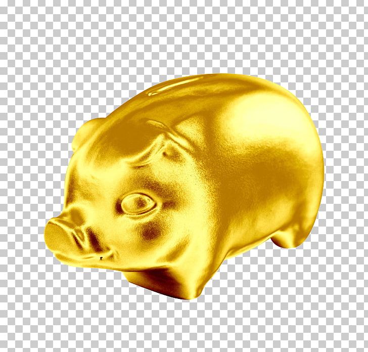 Domestic Pig Fabao Feedstuff Gold Coin PNG, Clipart, Animals, Auspicious, Cartoon, Cat, Chengdu Free PNG Download