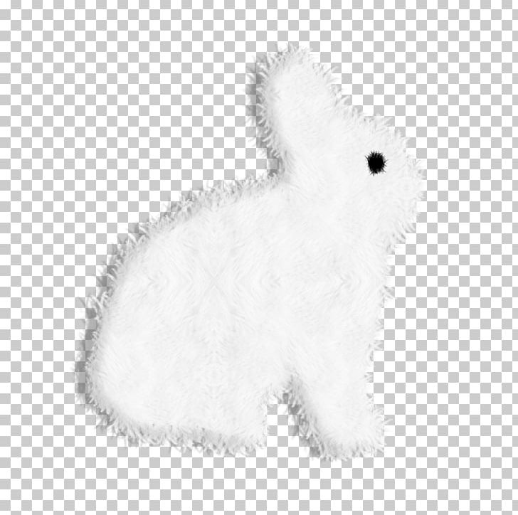 Domestic Rabbit Hare Rat Whiskers Dog PNG, Clipart, Animal, Animals, Black, Black And White, Black White Free PNG Download