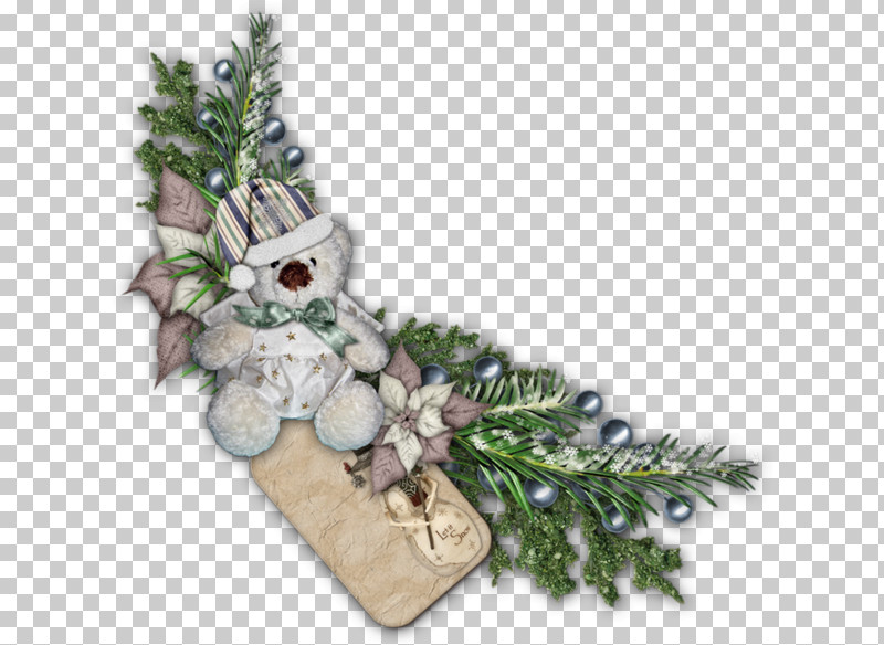 Holly PNG, Clipart, Branch, Colorado Spruce, Conifer, Cypress Family, Fir Free PNG Download
