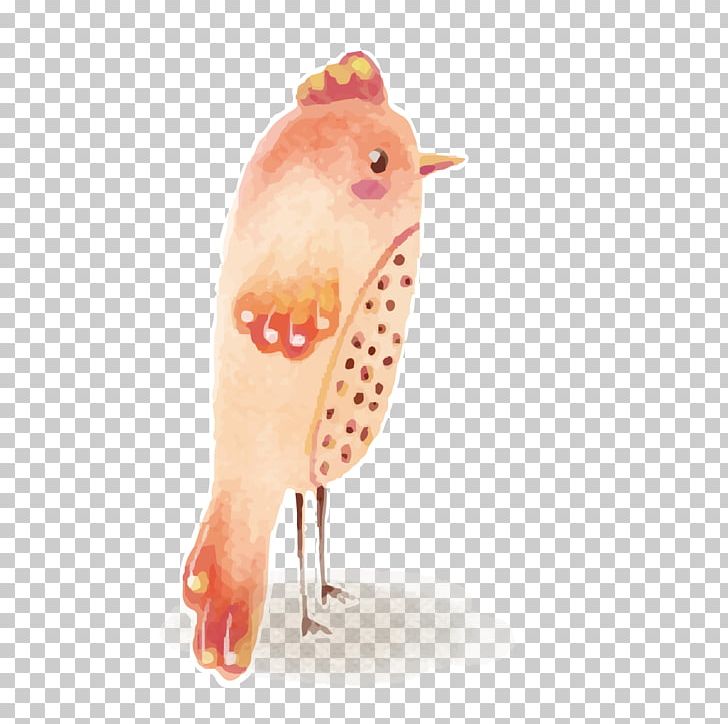 Bird PNG, Clipart, Animal, Animals, Beak, Birds, Bird Vector Free PNG Download