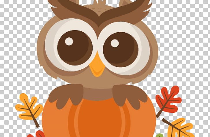 Owl Scalable Graphics Autumn PNG, Clipart, Art, Autumn, Beak, Bird, Bird Of Prey Free PNG Download