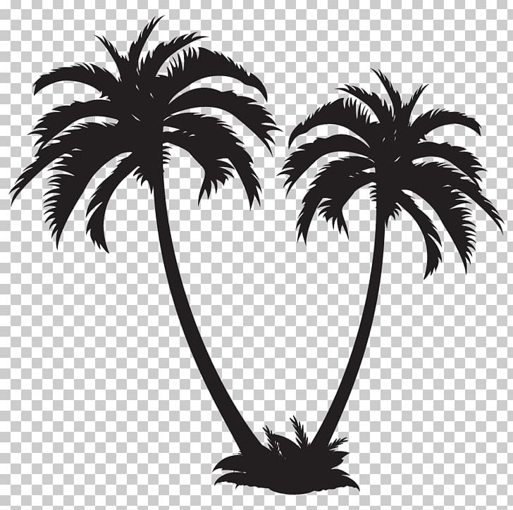 Arecaceae PNG, Clipart, Arecaceae, Arecales, Black And White, Borassus Flabellifer, Coconut Free PNG Download
