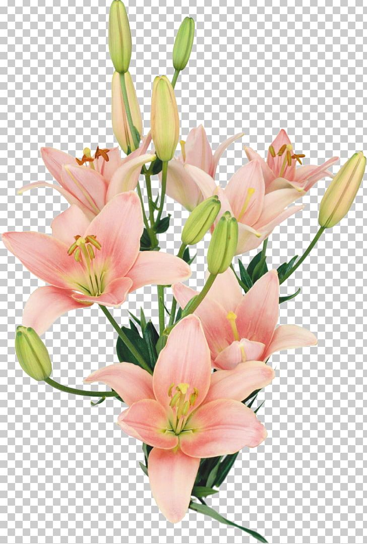 Lilium Flower Bouquet PNG, Clipart, Alstroemeriaceae, Crocus, Cut Flowers, Floral Design, Floristry Free PNG Download