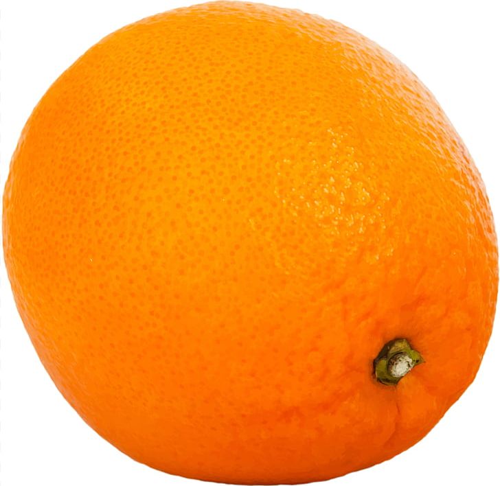 Mandarin Orange Tangerine Tangelo Clementine PNG, Clipart, Bitter Orange, Blood Orange, Citric Acid, Citrus, Clementine Free PNG Download