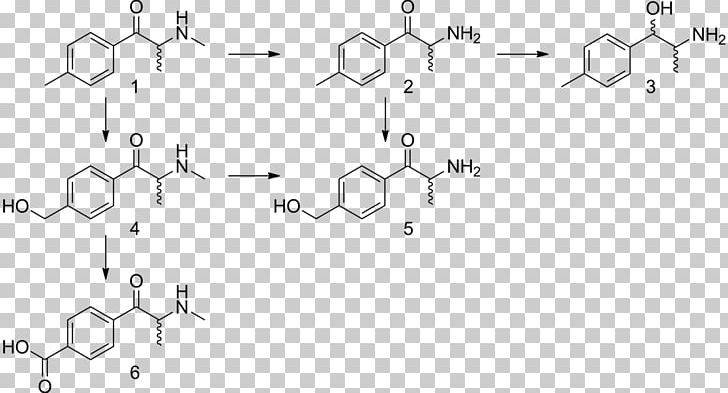 Phenylalanine Substituted Phenethylamine Tyrosine Amino Acid PNG, Clipart, Amino Acid, Angle, Auto Part, Human, Miscellaneous Free PNG Download