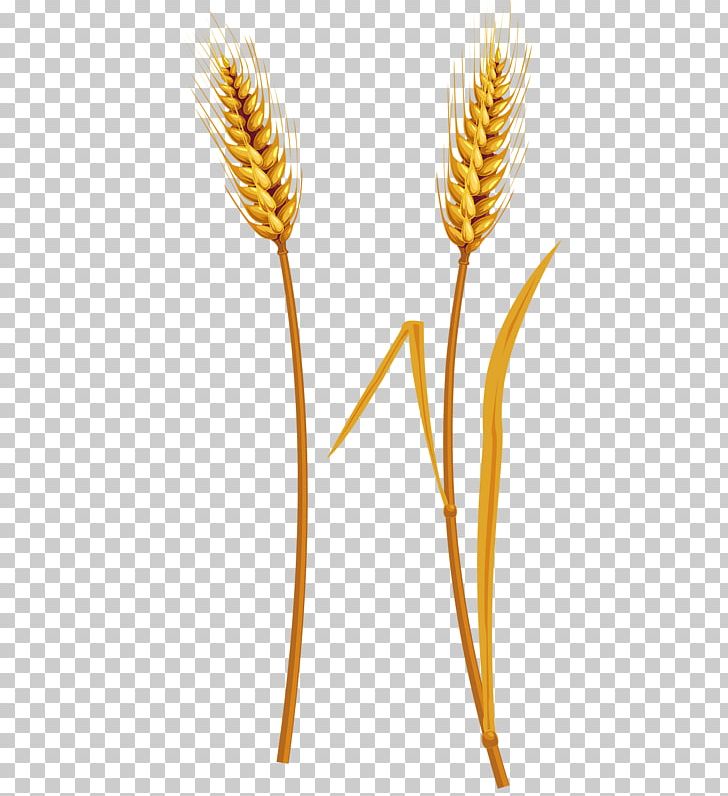 Straw Harvest PNG, Clipart, Artworks, Cartoon Wheat, Cereal, Commodity, Flower Free PNG Download