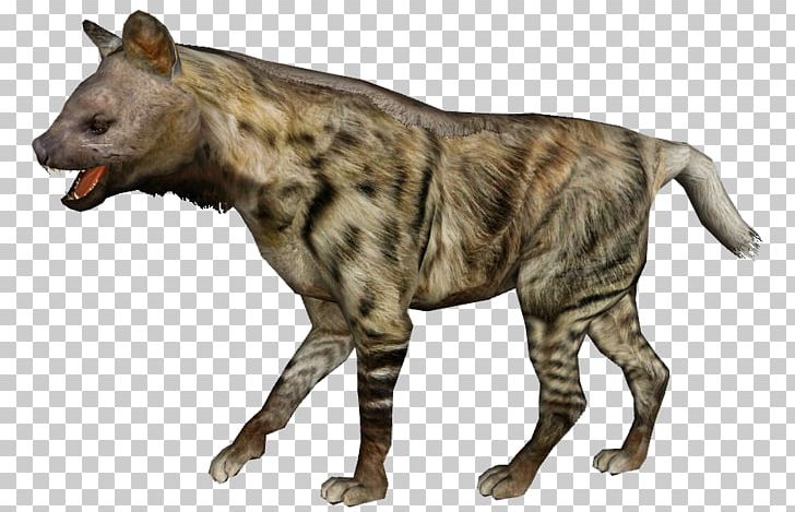 Pachycrocuta Hyaeninae Hyena Tiger PNG, Clipart, Another, Carnivoran, Fauna, Fur, Game Design Free PNG Download