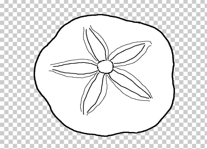 Sand Dollar Seashell Coloring Book PNG, Clipart, Angle, Area, Artwork, Beach, Black And White Free PNG Download