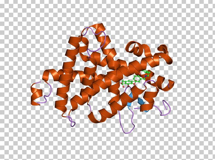 Thyroid Hormone Receptor Beta Nuclear Receptor Ligand PNG, Clipart, 1 R, 6 G, Beta1 Adrenergic Receptor, Estrogen, Gene Free PNG Download