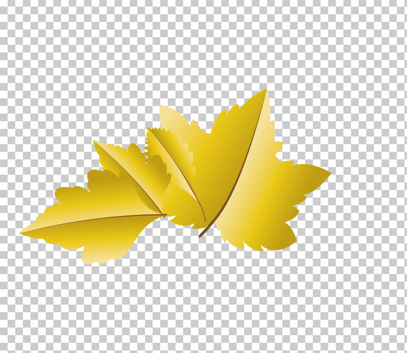 Maple Leaf PNG, Clipart, Autumn Leaf, Biology, Cartoon Leaf, Computer, Fall Leaf Free PNG Download