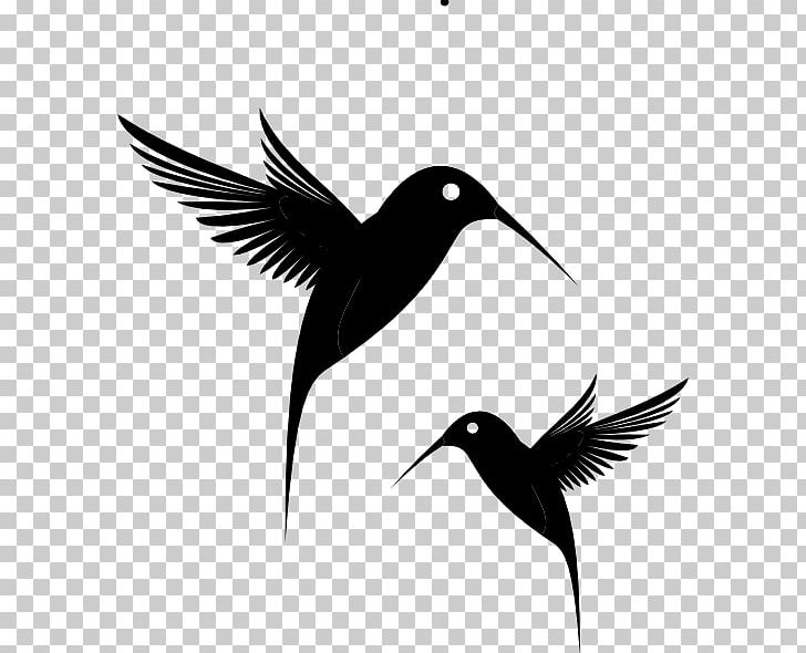 Hummingbird Black PNG, Clipart, Animals, Beak, Bird, Black, Black And White Free PNG Download