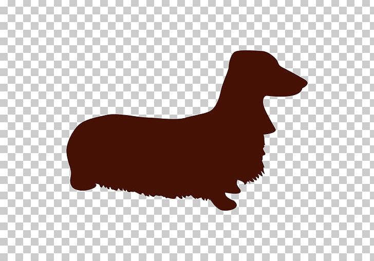 Dachshund Dog Breed Puppy Boxer Chow Chow PNG, Clipart, Animals, Boxer, Carnivoran, Chow Chow, Companion Dog Free PNG Download