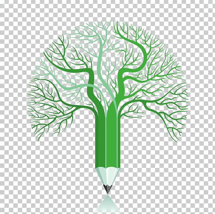 Drawing Class PNG, Clipart, Brains, Brain Thinking, Branch, Cartoon Brain, Course Free PNG Download