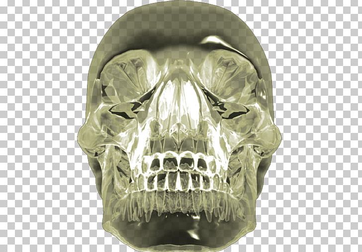 Crystal Skull Indiana Jones Quartz PNG, Clipart, Art, Bone, Computer Icons, Crystal Skull, Desktop Wallpaper Free PNG Download