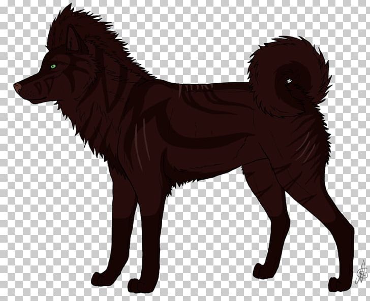 Dog Breed Finnish Spitz Schipperke Rare Breed (dog) Puppy PNG, Clipart, Animals, Breed, Carnivoran, Dog, Dog Breed Free PNG Download