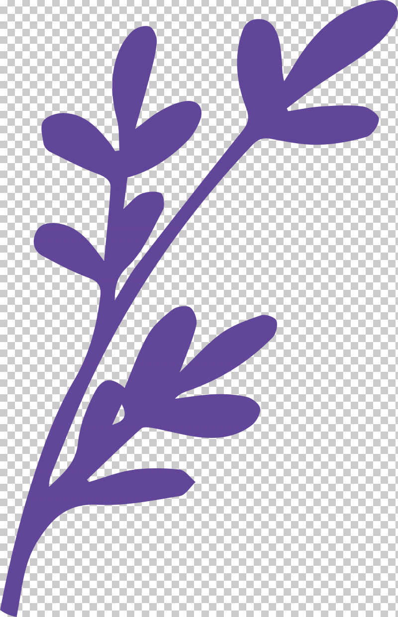 Simple Leaf Simple Leaf Drawing Simple Leaf Outline PNG, Clipart, Biology, Branch, Leaf, Line, Meter Free PNG Download
