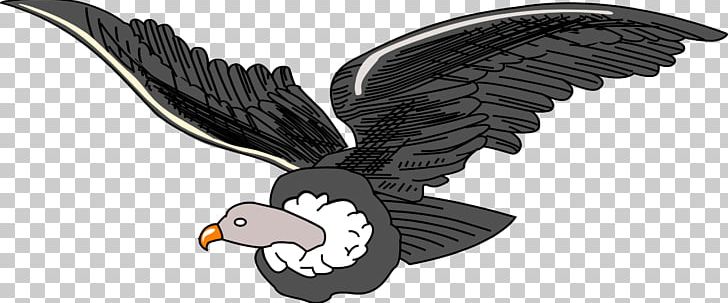 Bird Condor PNG, Clipart, Accipitriformes, Andean Condor, Animal Figure, Animals, Beak Free PNG Download