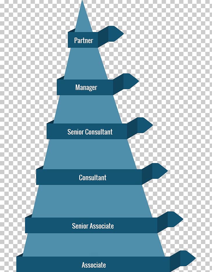 Christmas Tree Career Fir Tree Structure PNG, Clipart, Business, Business Development, Career, Christmas, Christmas Decoration Free PNG Download